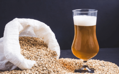 L&rsquo;Art de la Brasserie Artisanale : Du Grain au Verre