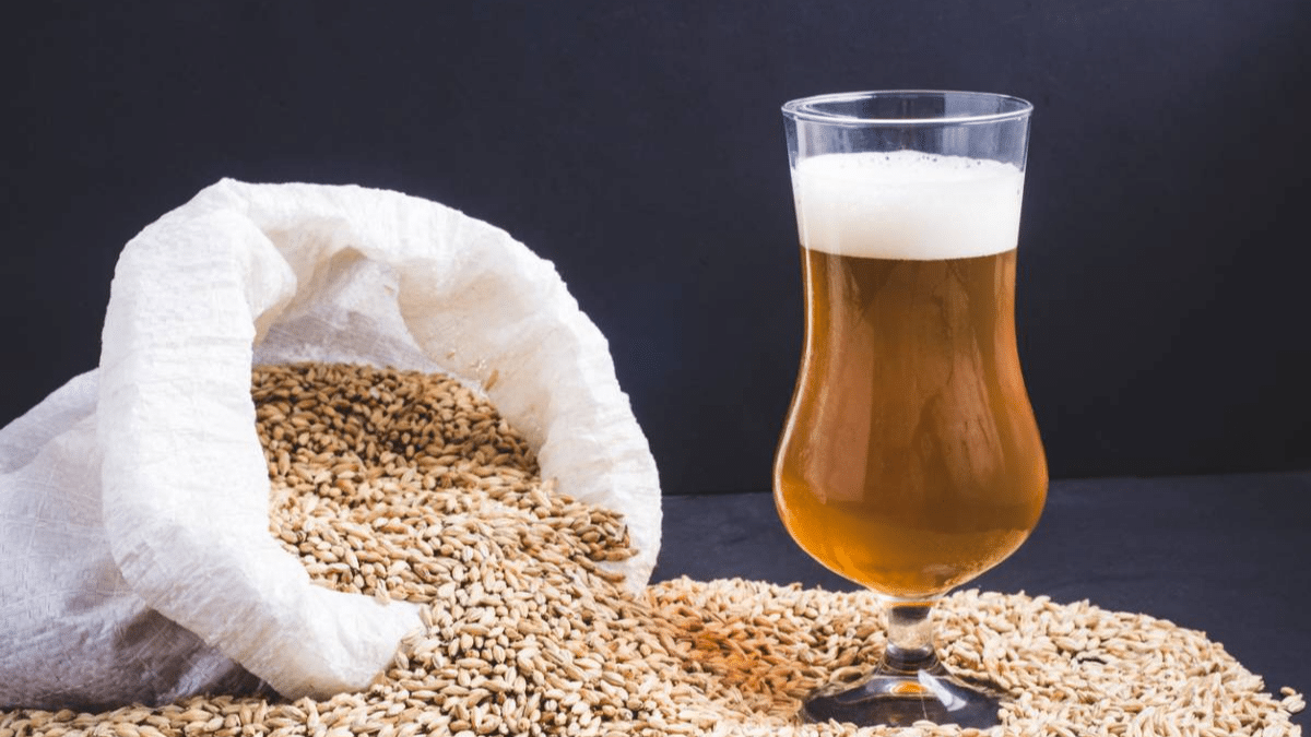 L&rsquo;Art de la Brasserie Artisanale : Du Grain au Verre